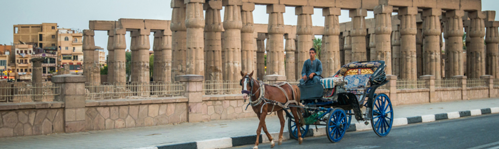 Aswan Horse Carriage Trip – Trips in Egypt