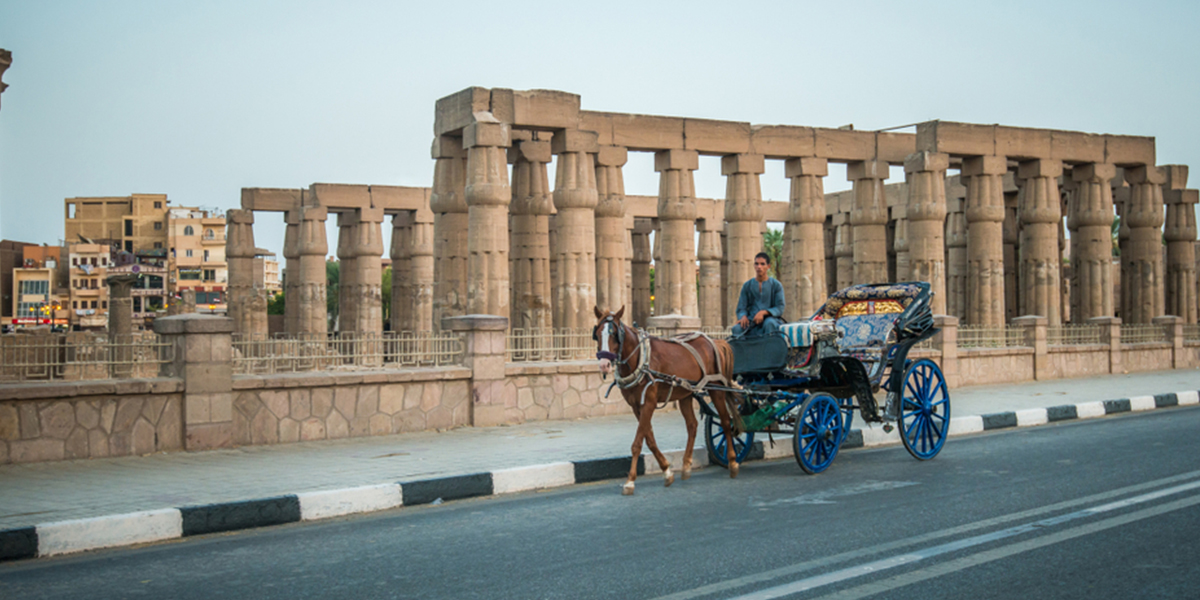 Aswan Horse Carriage Trip Tour in Egypt