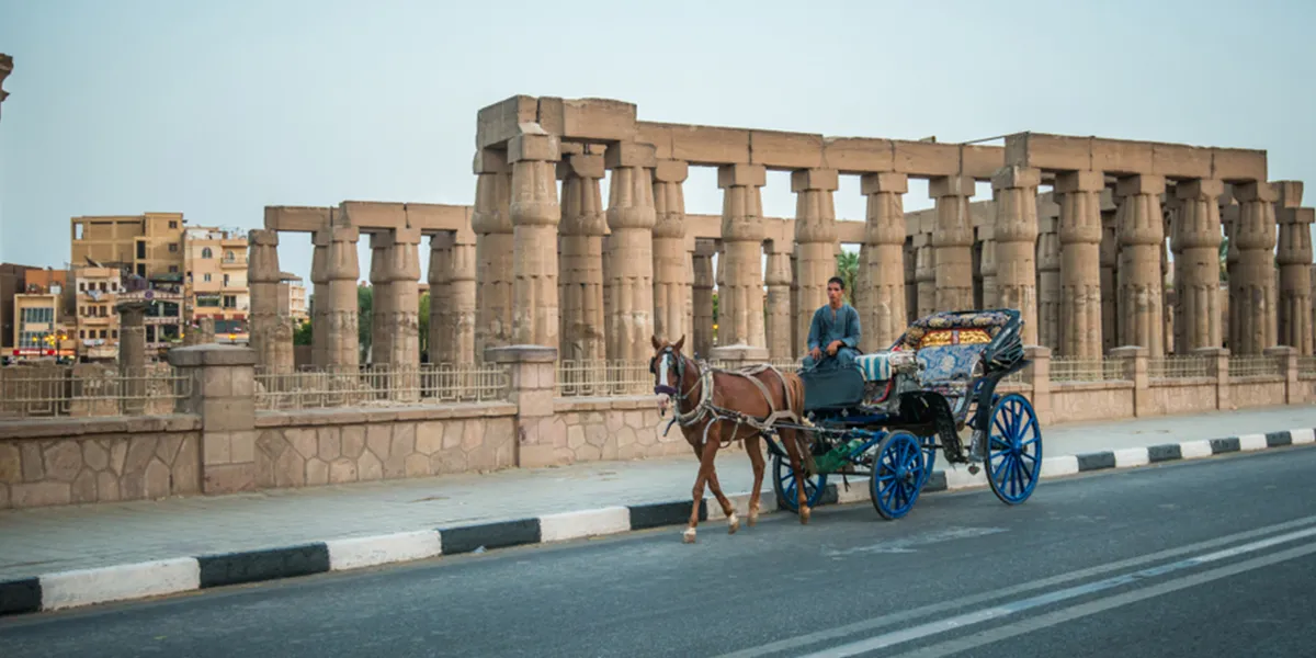Aswan Horse Carriage Trip