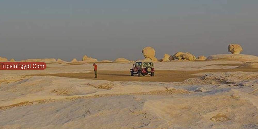 bahariya oasis – Trips in Egypt