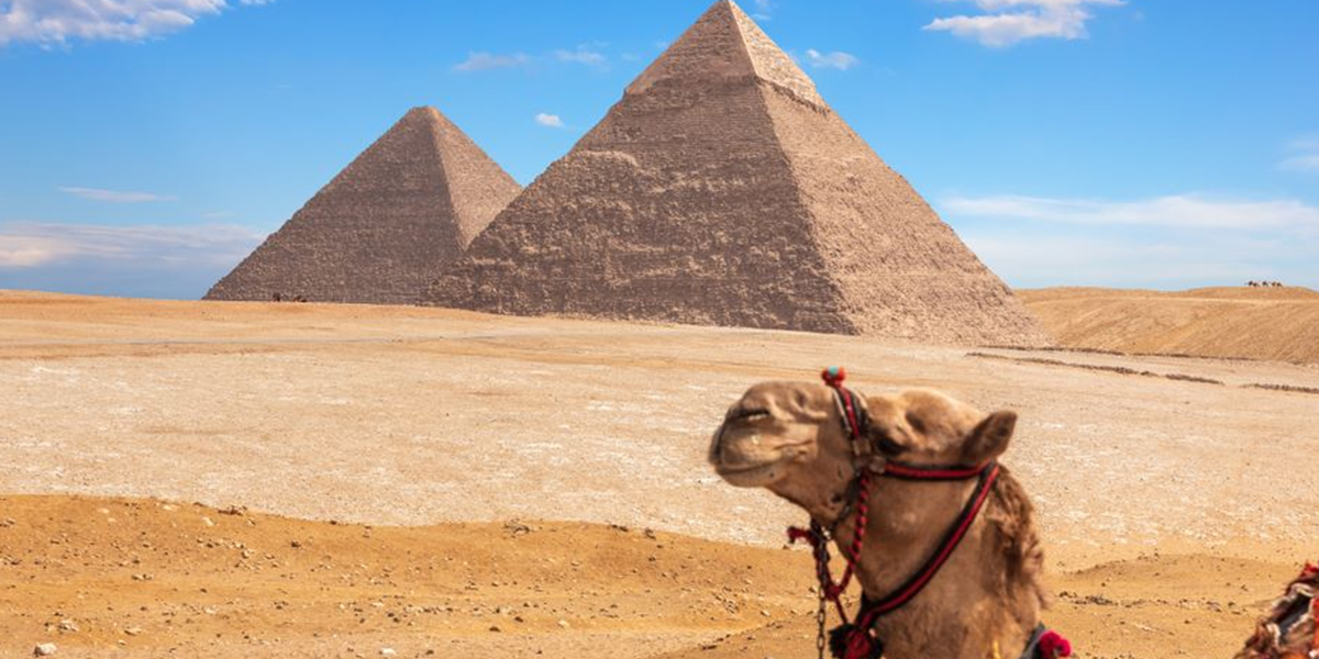 Day Trip from Aswan to Cairo by Plane Tour in Egypt