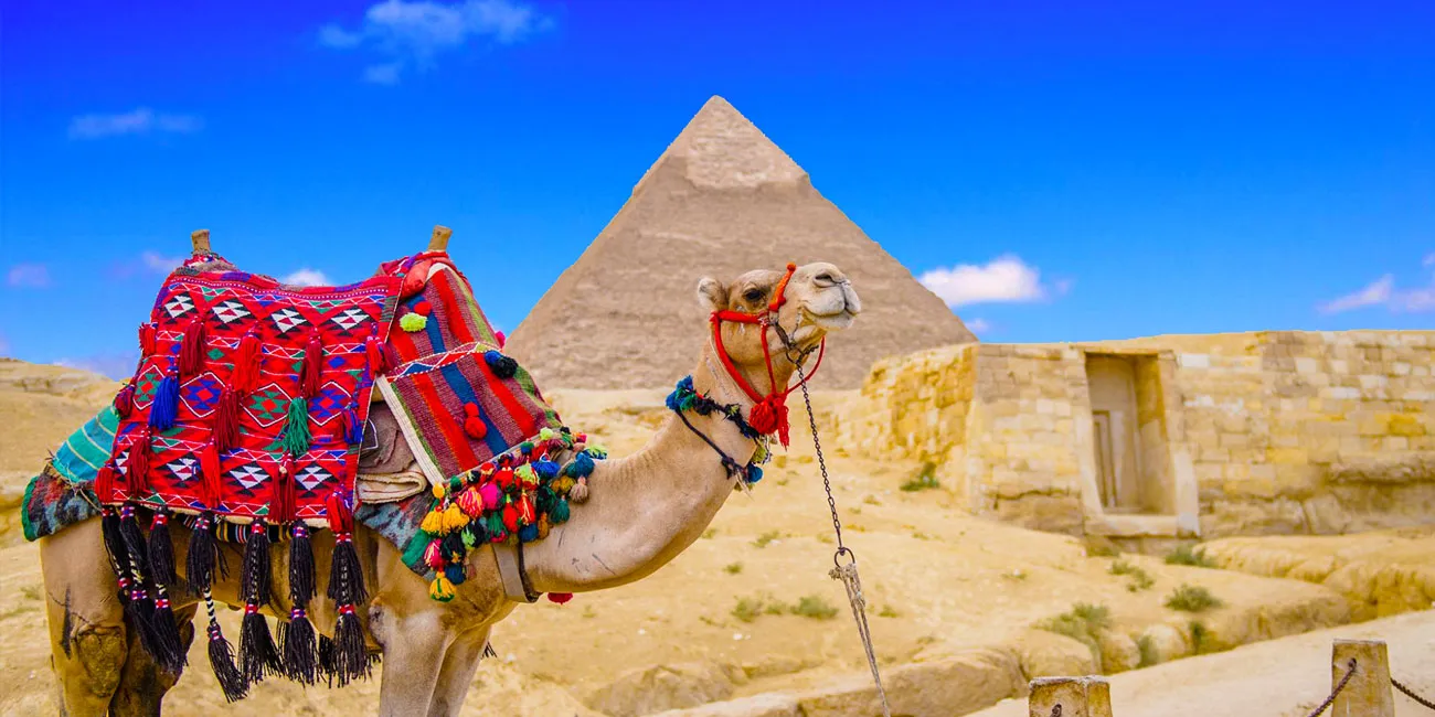 6 Days Cairo, Alexandria, Luxor & Abu Simbel Vacation