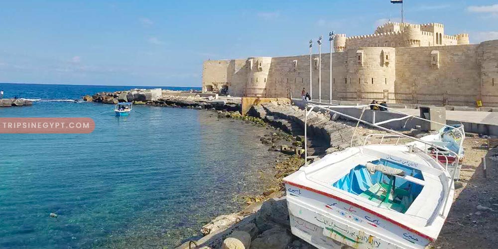 Alexandria Trip - Best Tours & Places to Visit from El Gouna - Trips In Egypt