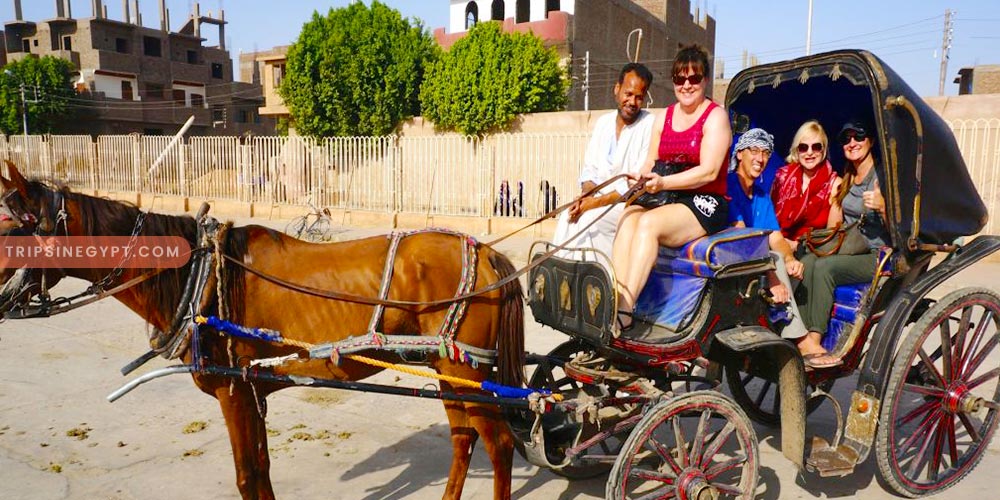 Horse Carriage In Luxor – Trips In Egypt