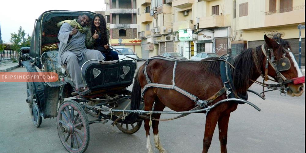 Horse Carriage Trip in Luxor – Trips In Egypt