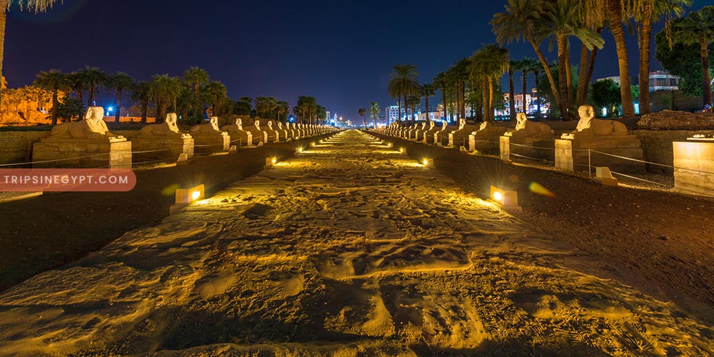 Karnak Temples Sound & Light Show – Trips in Egypt