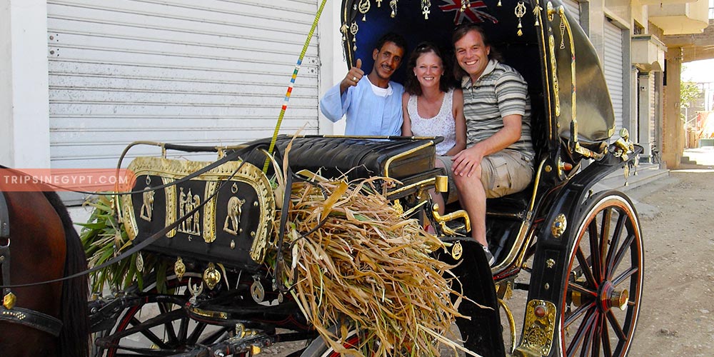 Luxor City Tour In Horse Carriage – Trips In Egypt