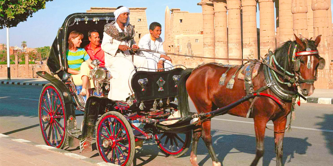 Luxor Horse Carriage Trip Horse Carriage In Luxor Trips In Egypt