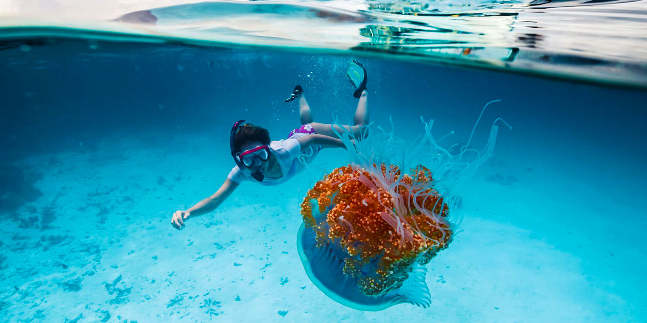 Snorkeling Trip from Sharm El Sheikh Tour in Egypt