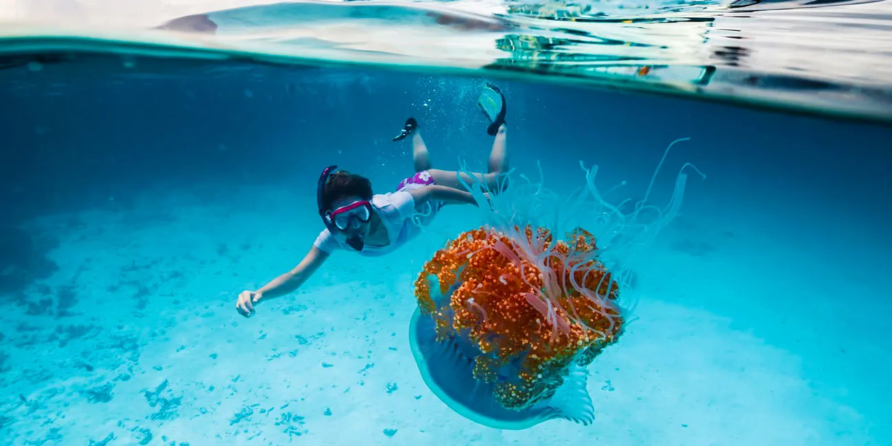 Snorkeling Trip from Sharm El Sheikh