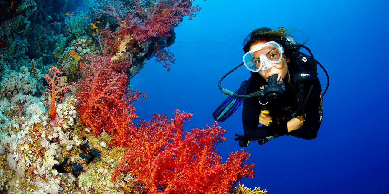 Scuba Diving Excursion From Marsa Alam Trips in Egypt