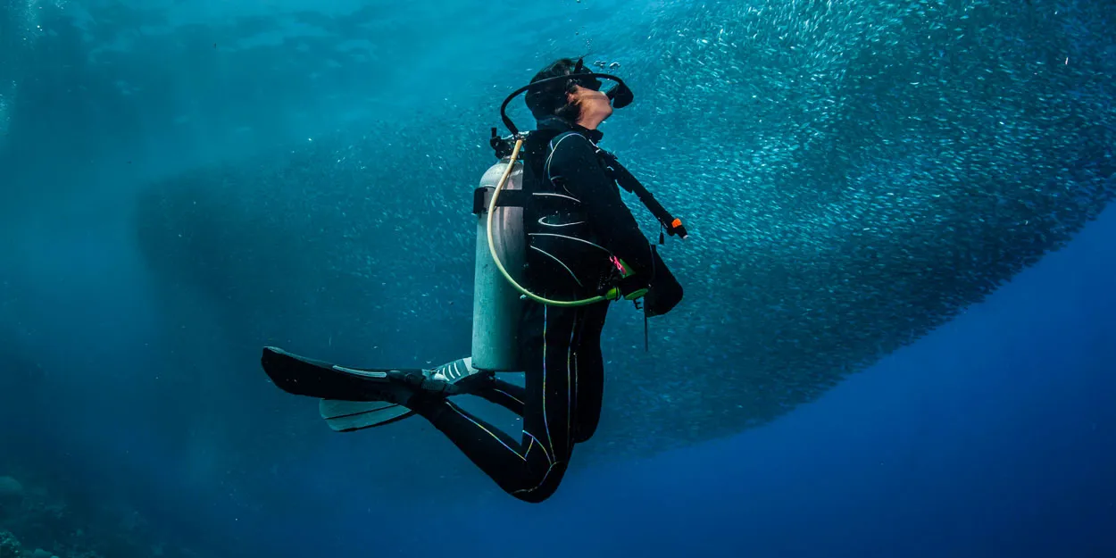 Scuba Diving Excursion from Safaga Port