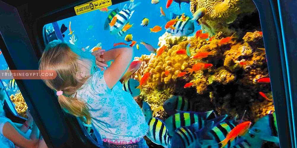 Sindbad Submarine Safaga – Trips in Egypt