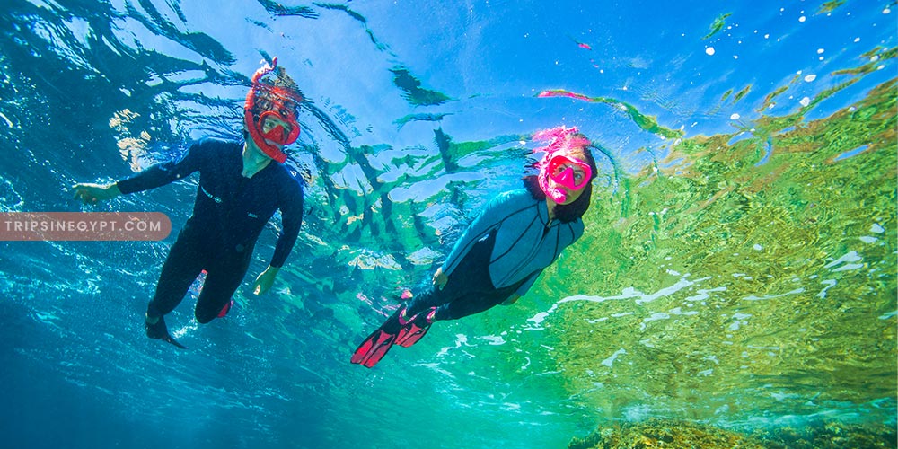 Snorkeling Trip - Best Tours & Places to Visit from El Gouna - Trips In Egypt