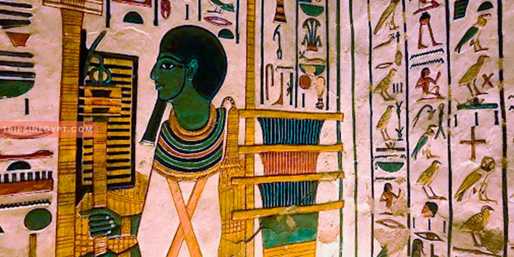 Valley of the Queens Gallery – Trips in Egypt