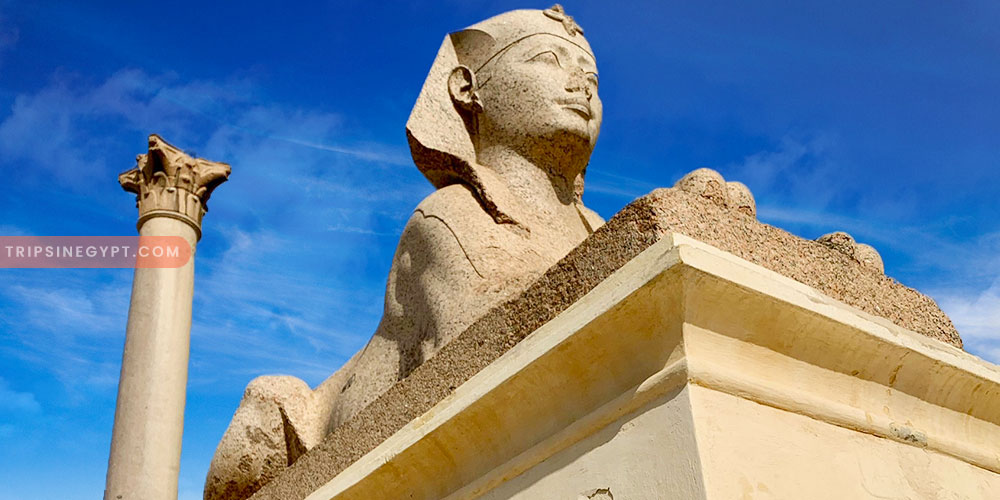 Alexandria Things to Do - Is It Safe to Travel to Alexandria - Trips in Egypt