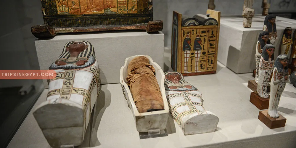 Artifacts & Mummies That Display in NMEC - Trips In Egypt