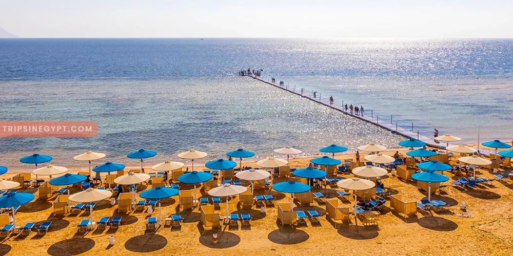 General Tips to Enjoy A Safe Tour in Sharm El-Sheikh - Trips In Egypt
