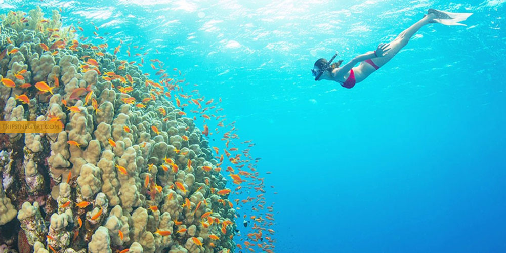 How to Make the Most of Your Visit to Sharm El-Sheikh - Trips In Egypt