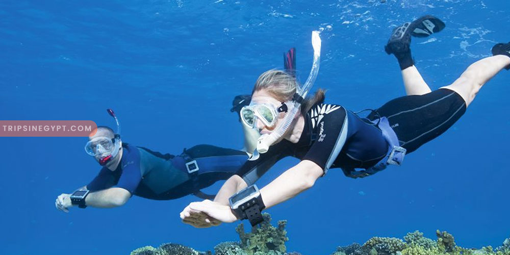 Snorkeling - Trips In Egypt