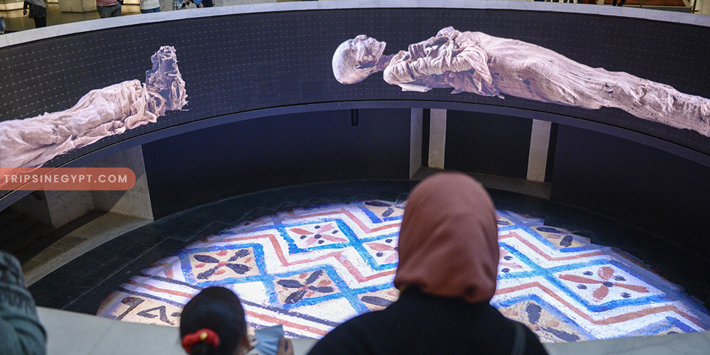 The National Museum of Egypt Civilization Gallery – Trips In Egypt