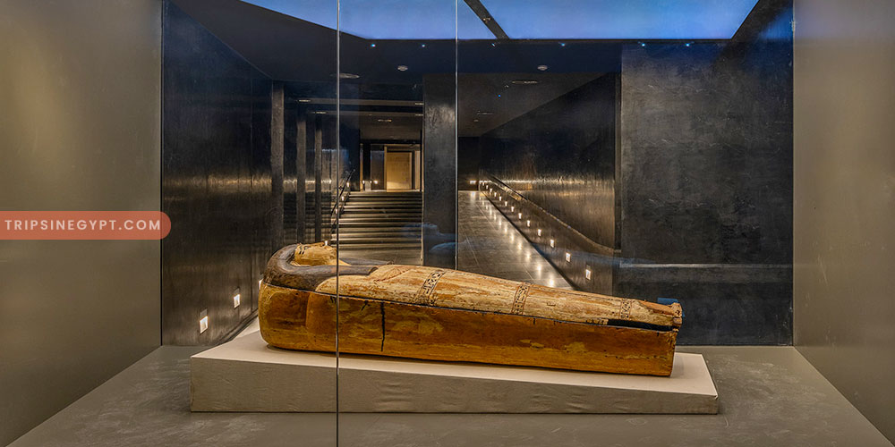 The National Museum of Egypt Civilization Gallery – Trips In Egypt