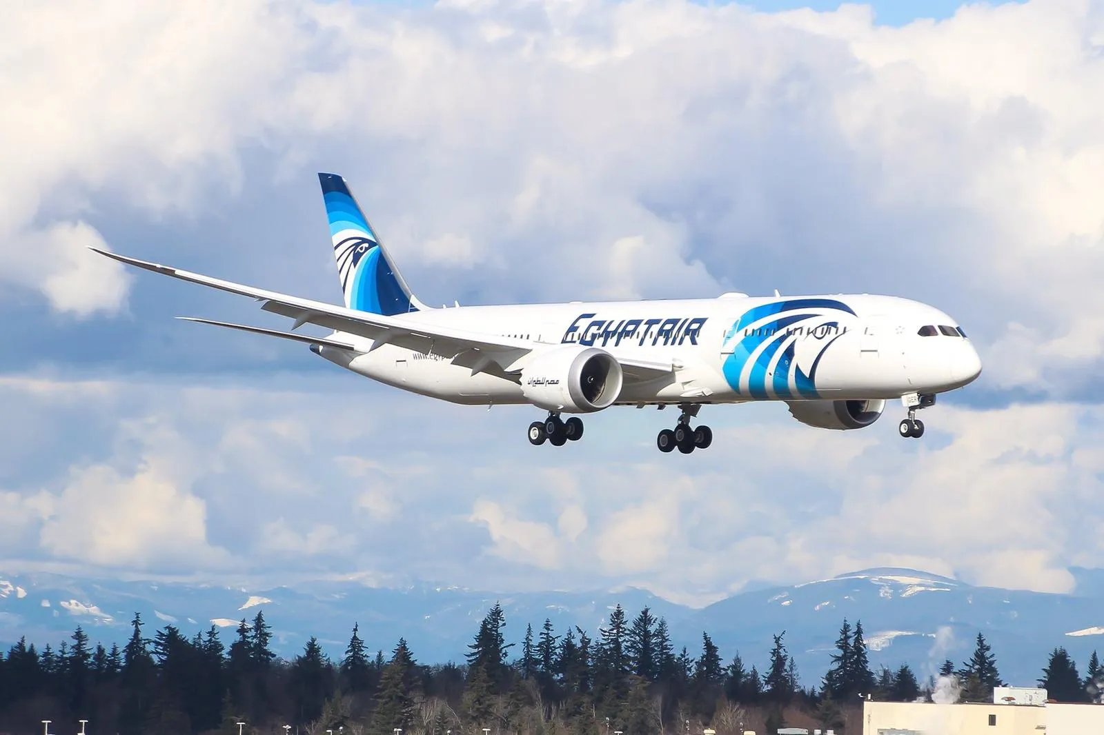 Domestic-Flights-Egypt-Essential-trip-Information-Trips-In-Egypt