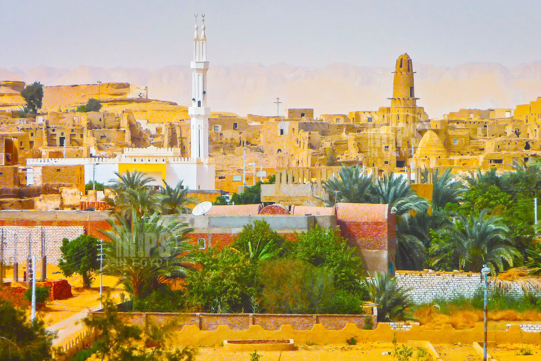 Dakhla Oasis