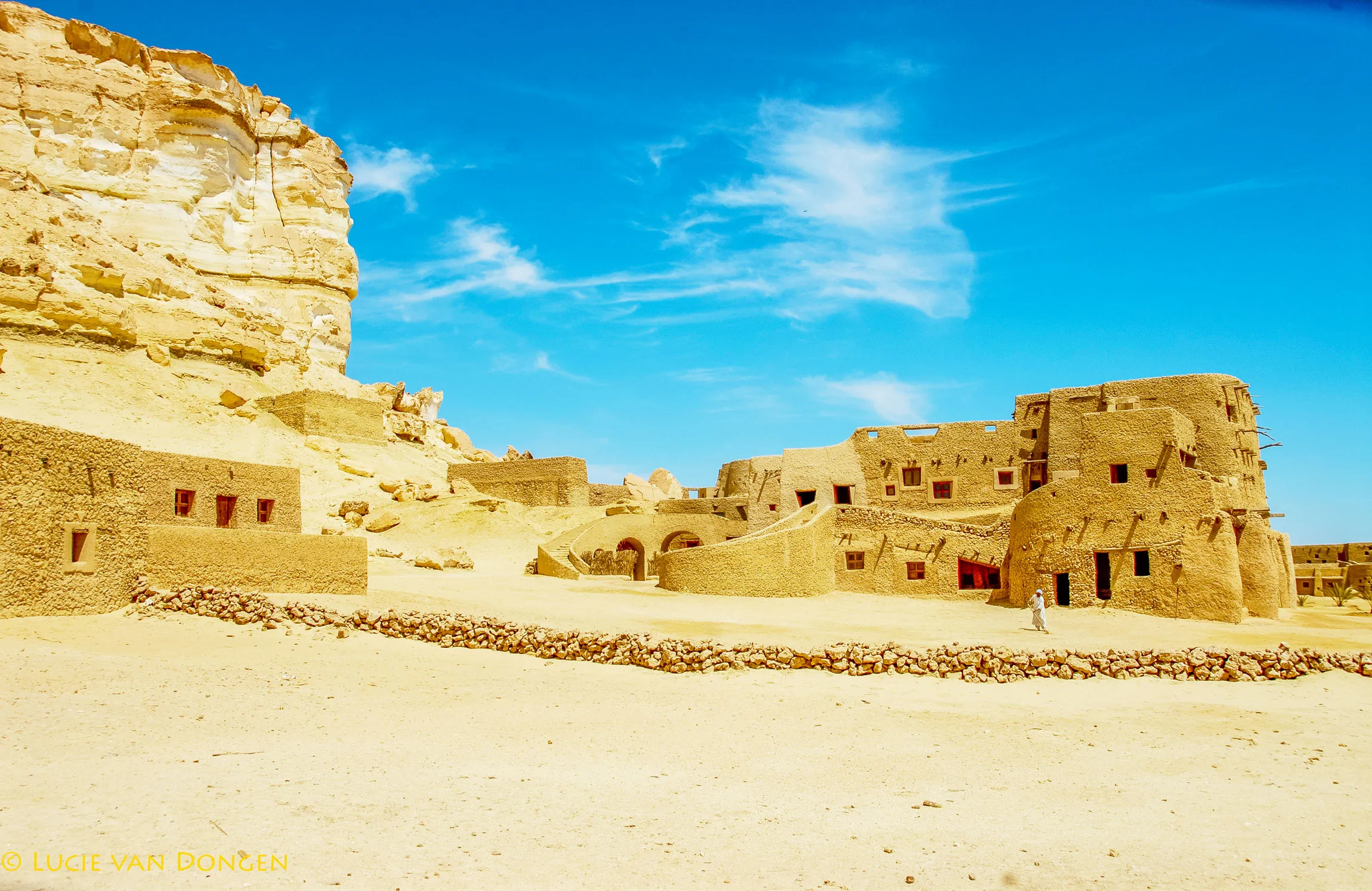 Egyptian Oases