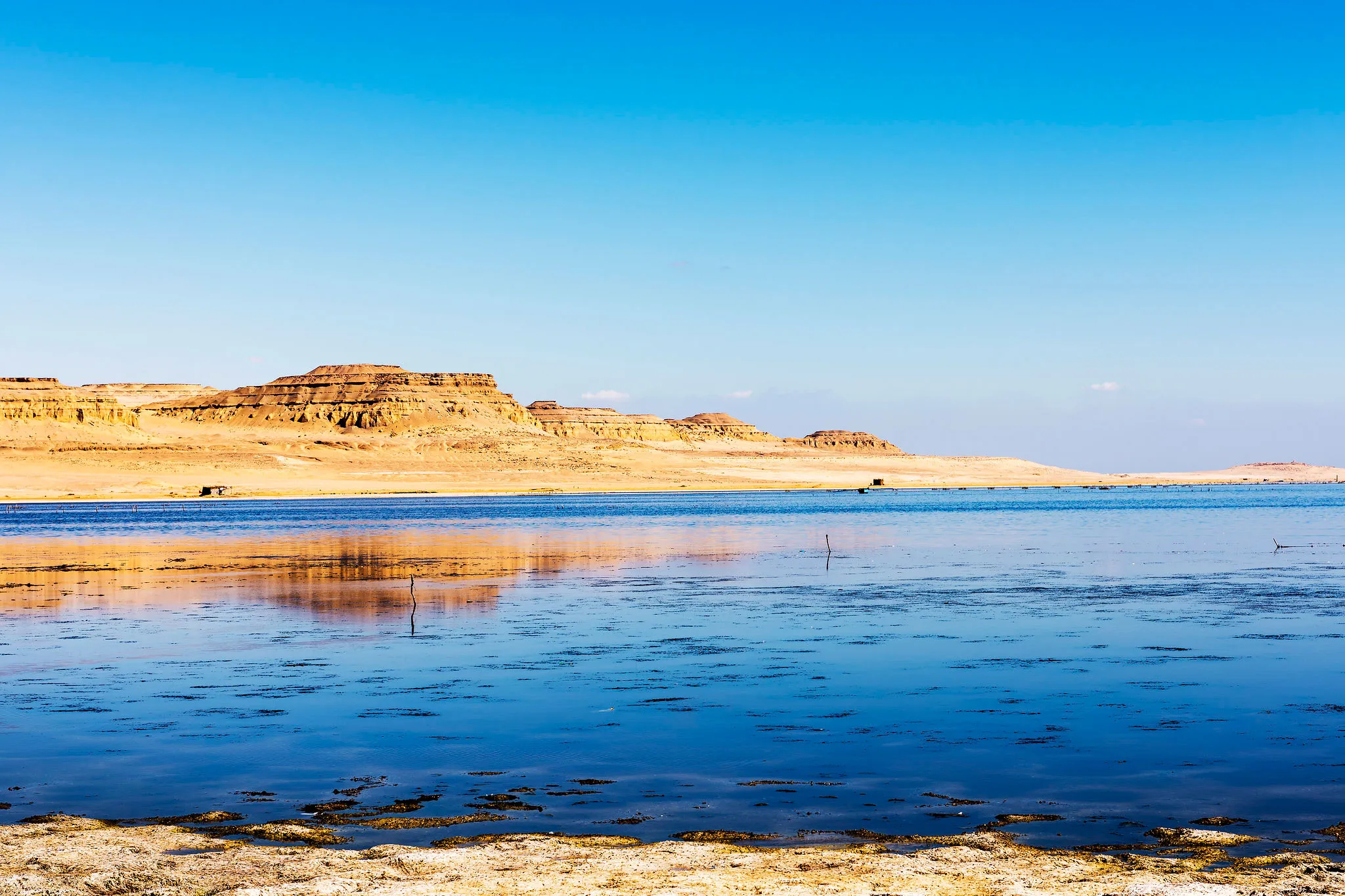 Faiyum Oasis
