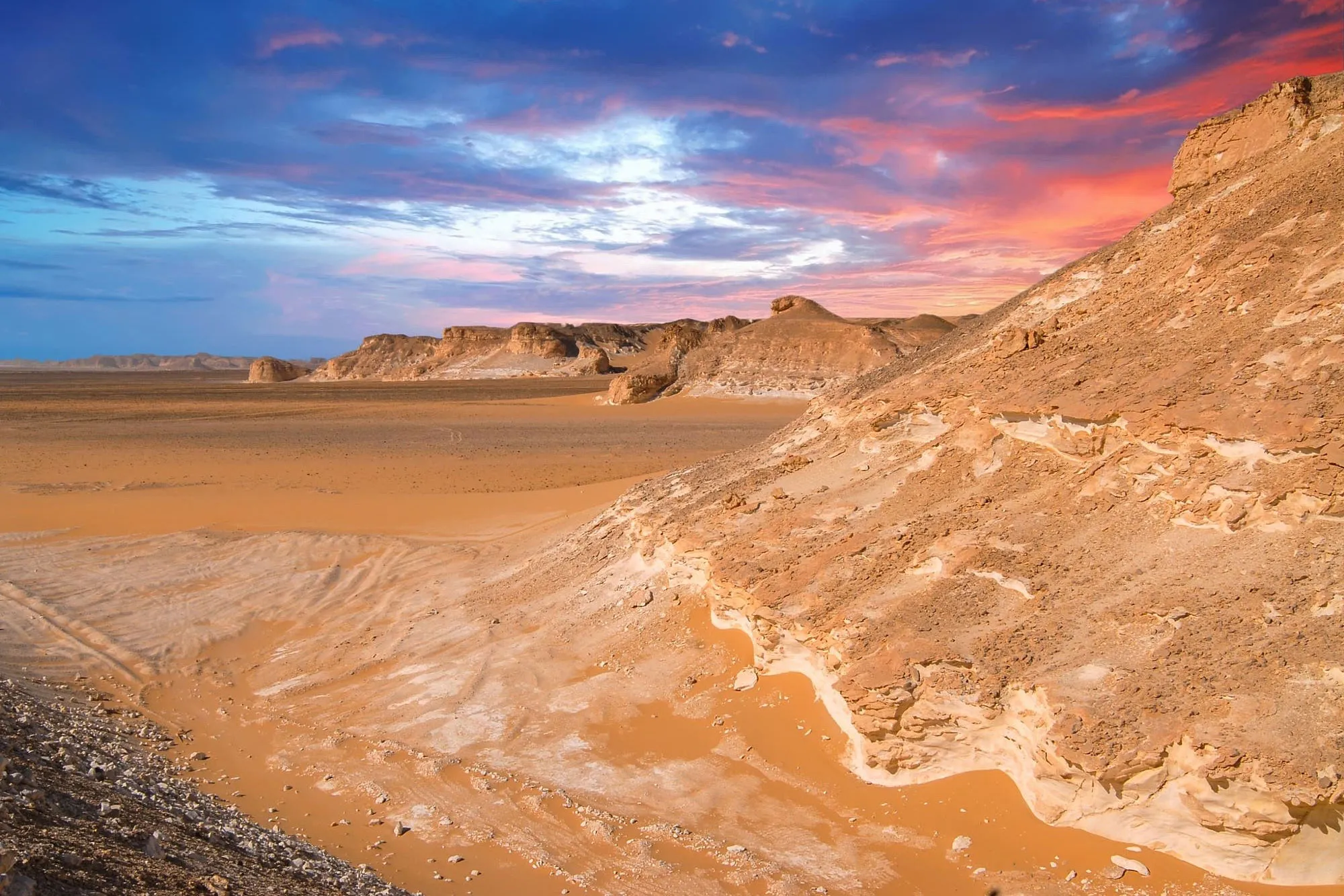 Farafra Oasis
