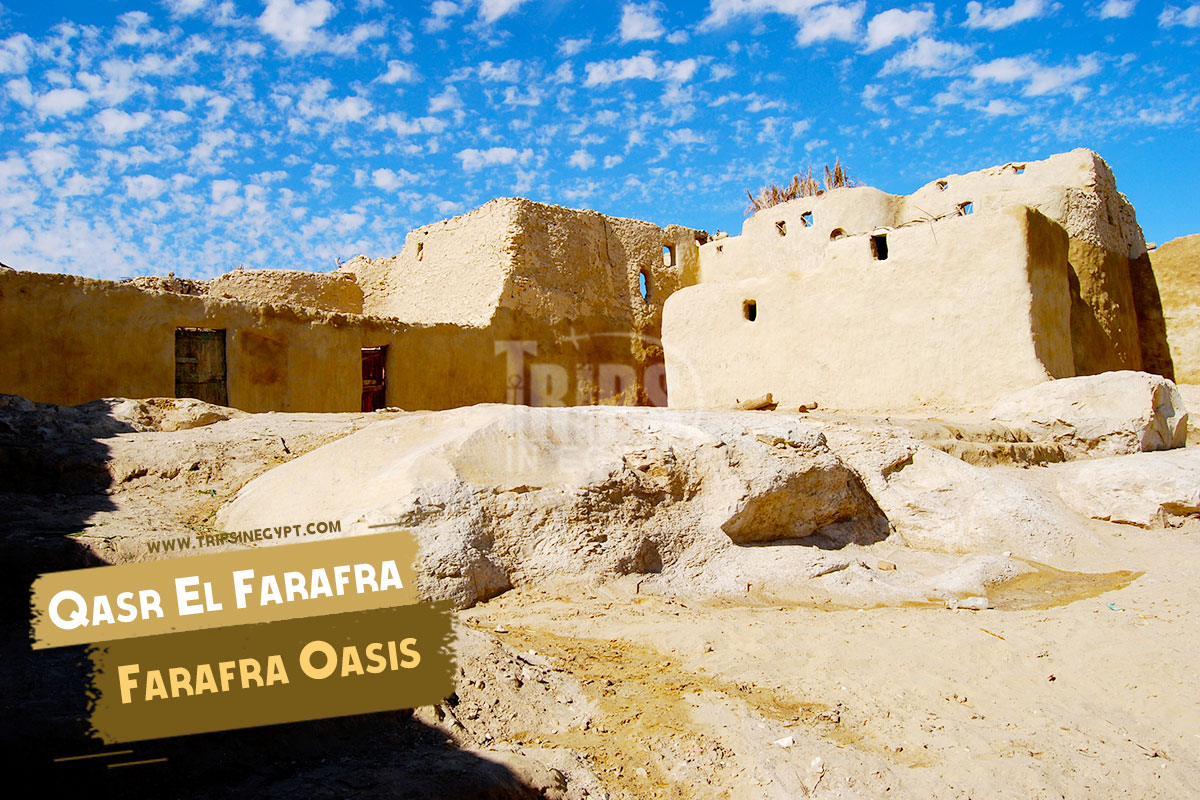 Farafra Oasis History & Location Best Attractions in Farafra Trips