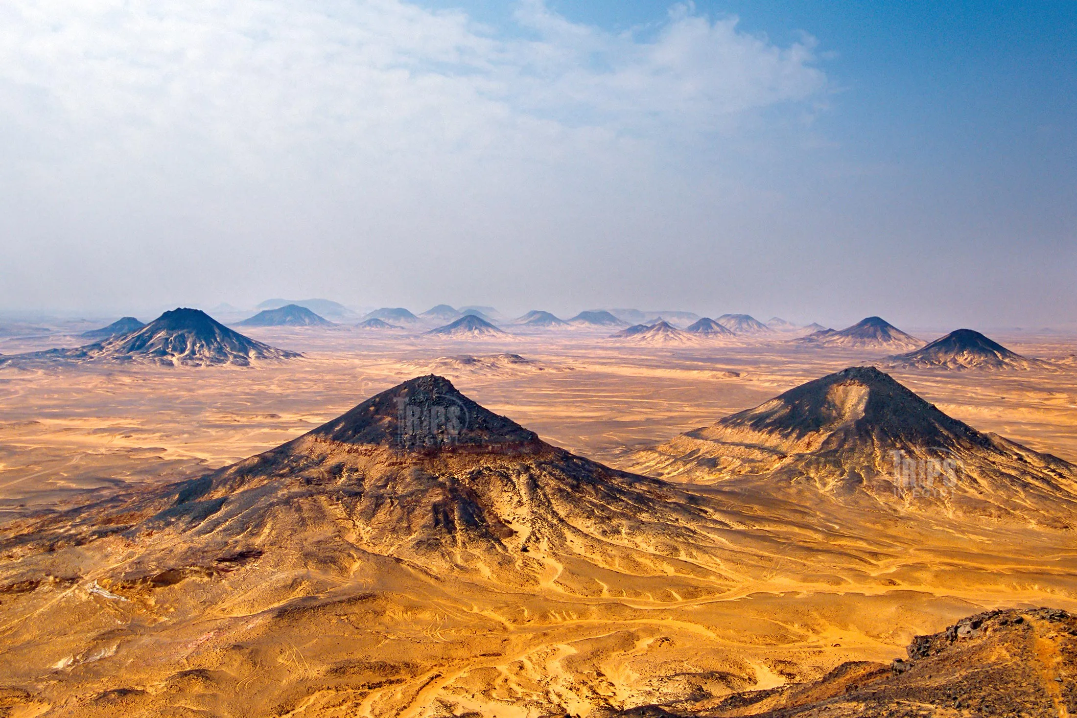 Bahariya Oasis