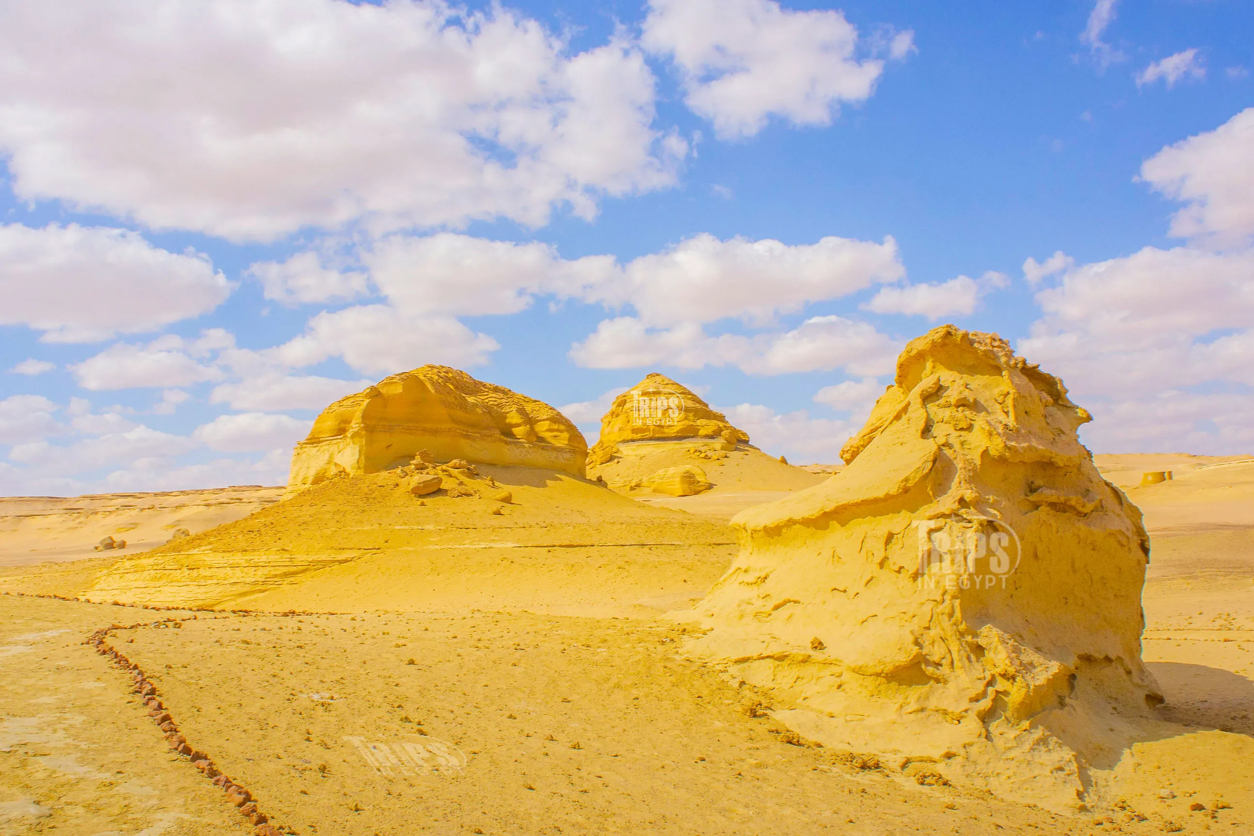Wadi El Hitan