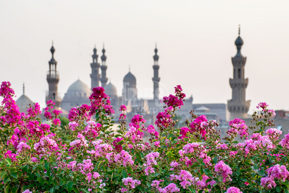 Al Azhar Park Pictures (10) - Trips in Egypt