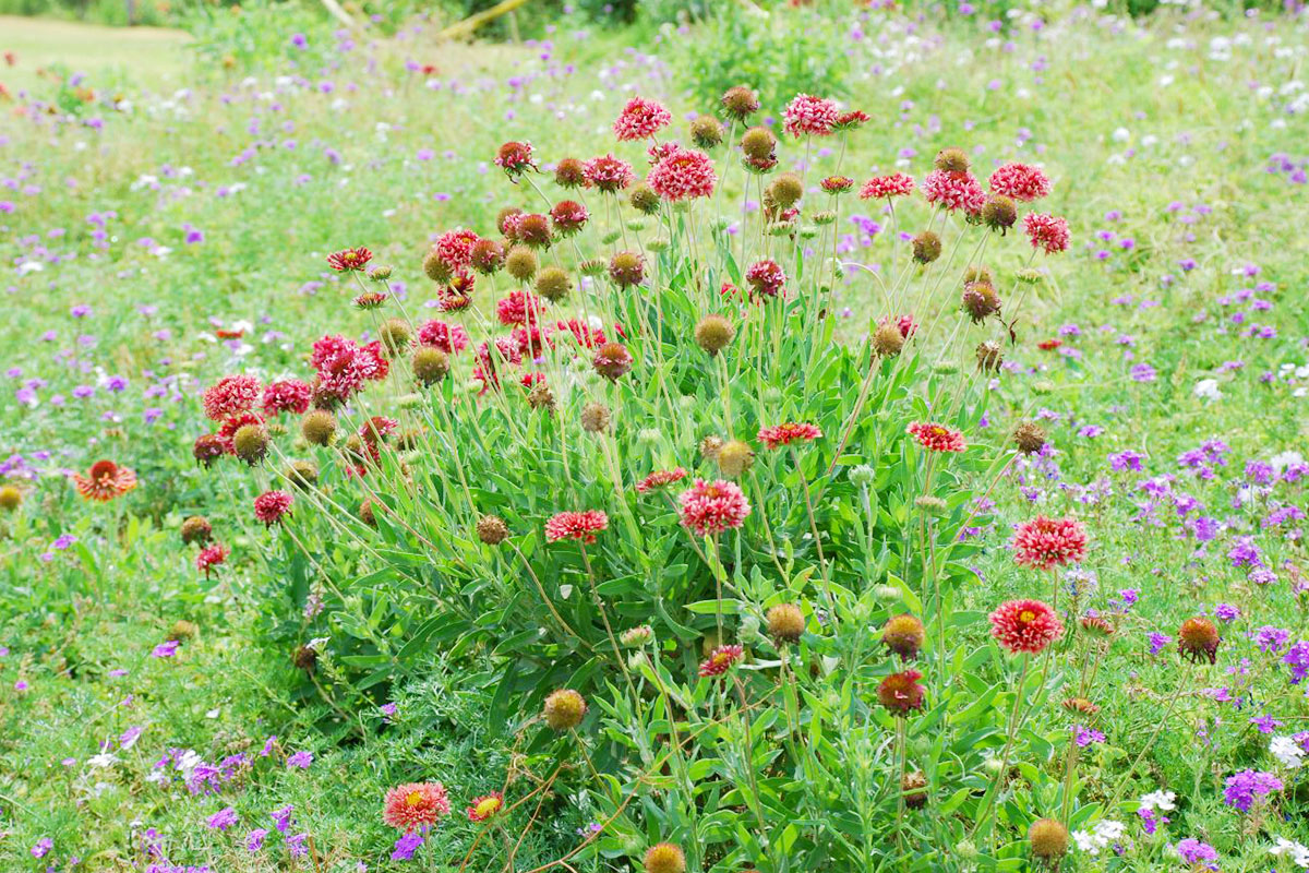 Al Azhar Park Pictures (15) - Trips in Egypt