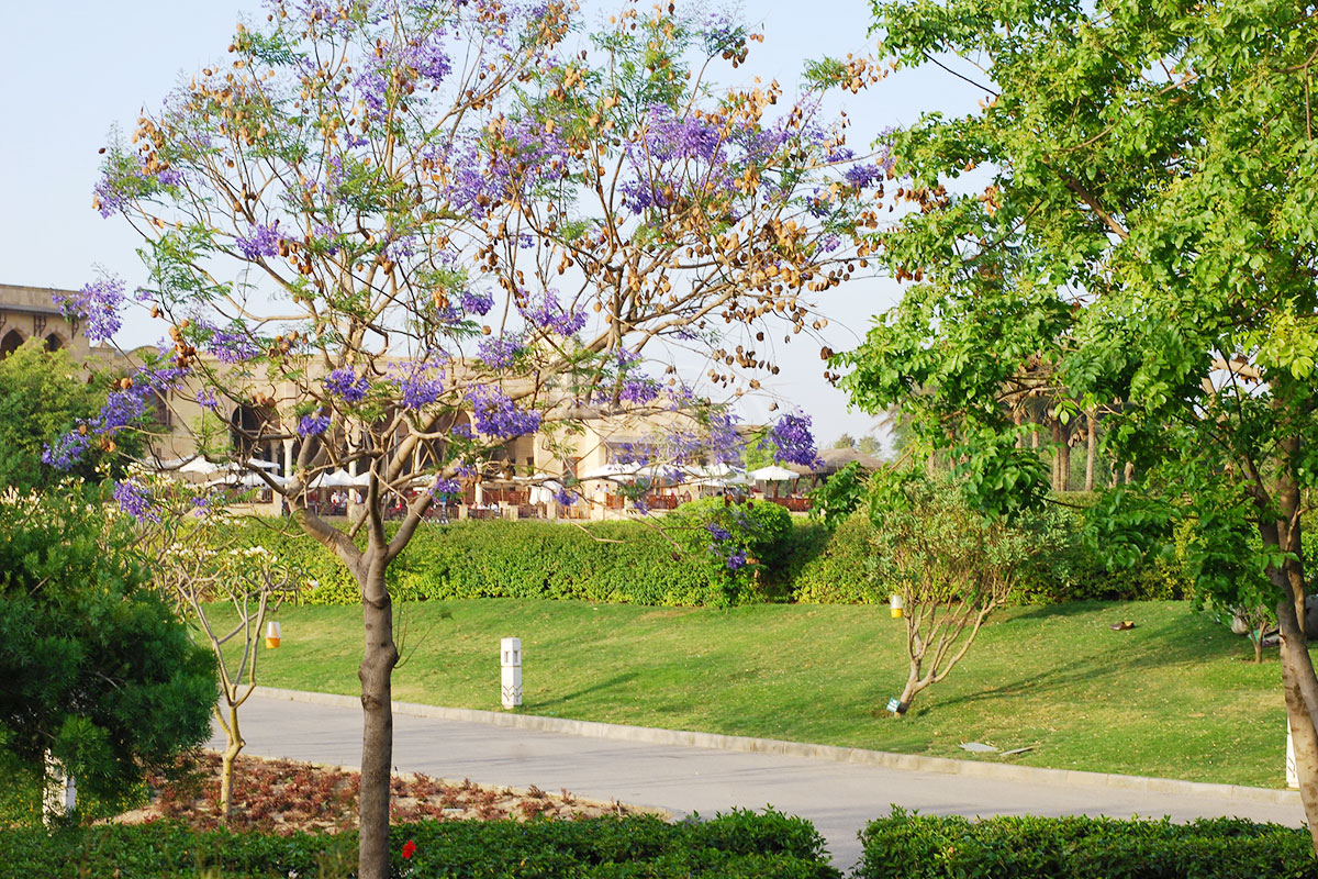 Al Azhar Park Pictures (8) - Trips in Egypt