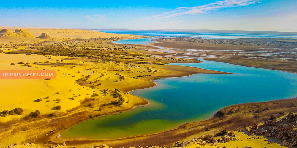 Qarun Lake - Trips in Egypt