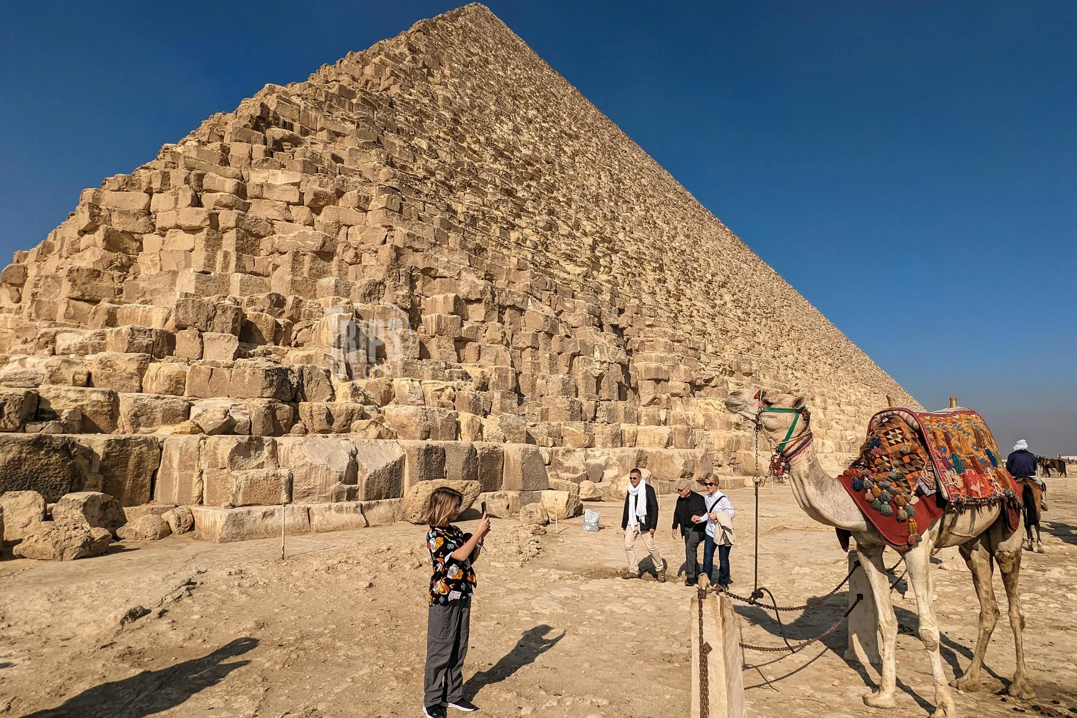Types of Tourism in Egypt