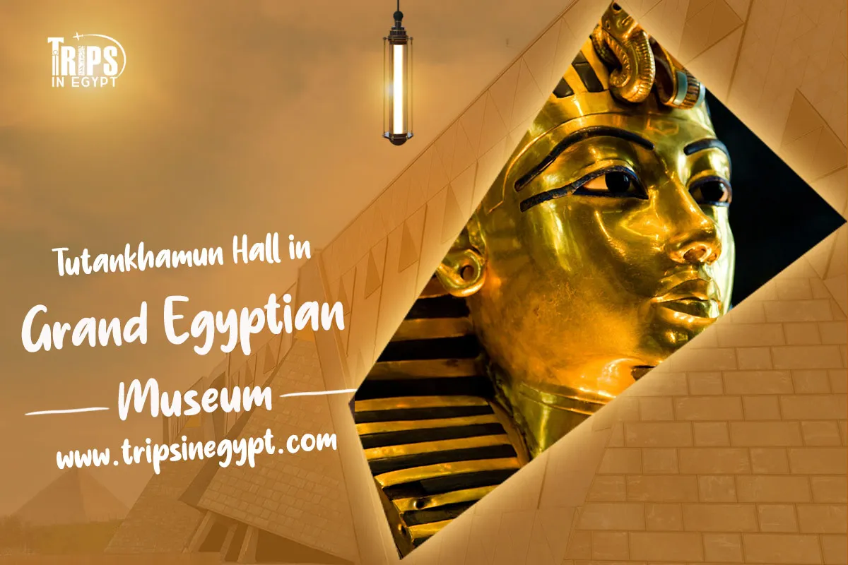 tutankhamun hall in the grand egyptian museum trips in egypt