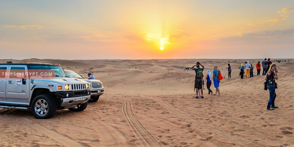 Bahariya Adventure - Trips in Egypt