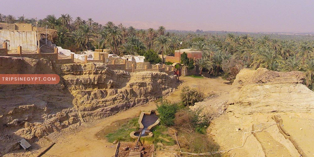 The Bahariya Oasis (2) - Trips in Egypt