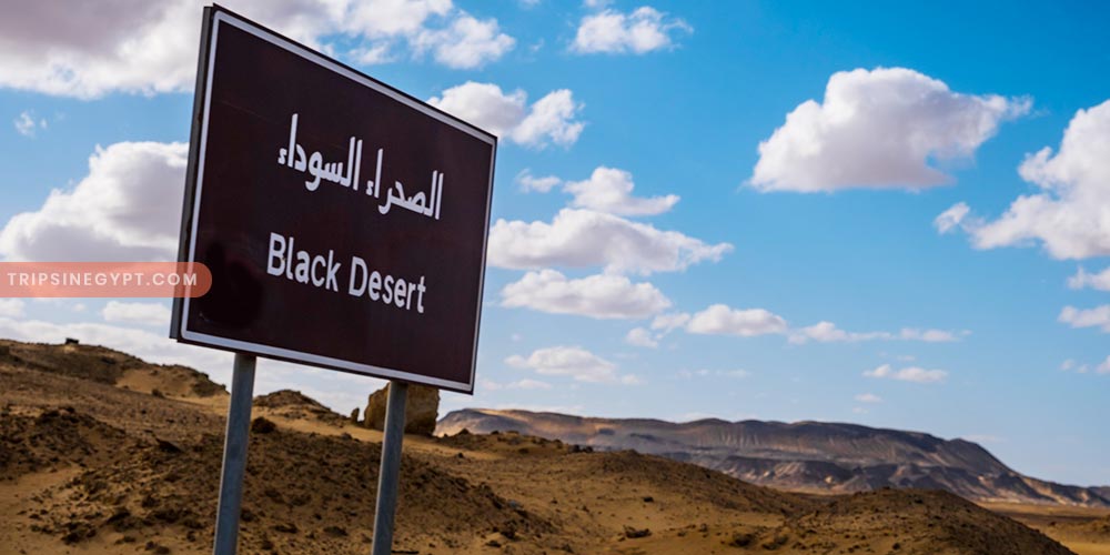 The Black Desert (3) - Trips in Egypt