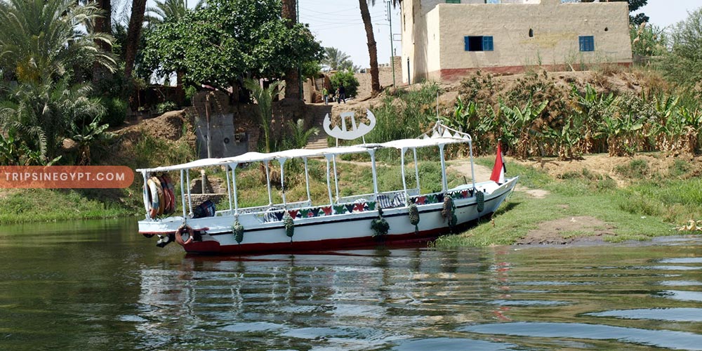 Banana Island Gallery (5) - Trips in Egypt