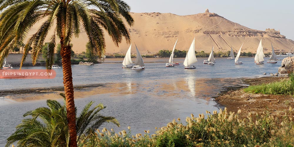 Banana Island Gallery (6) - Trips in Egypt