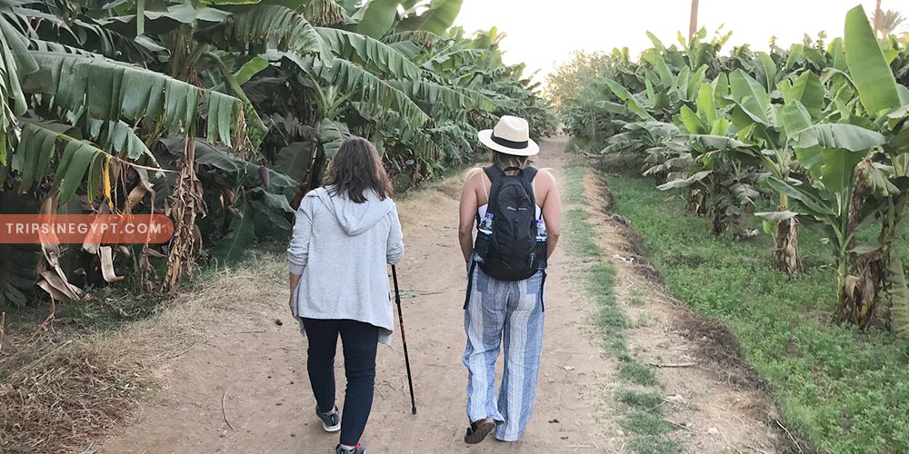 Banana Island Gallery (7) - Trips in Egypt