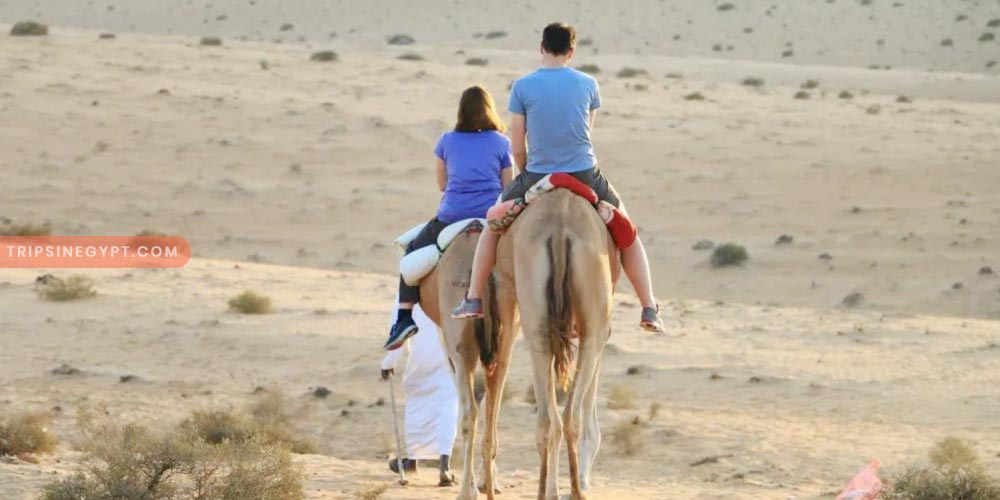 Bedouin Sharm El Sheikh Gallery (6) - Trips in Egypt