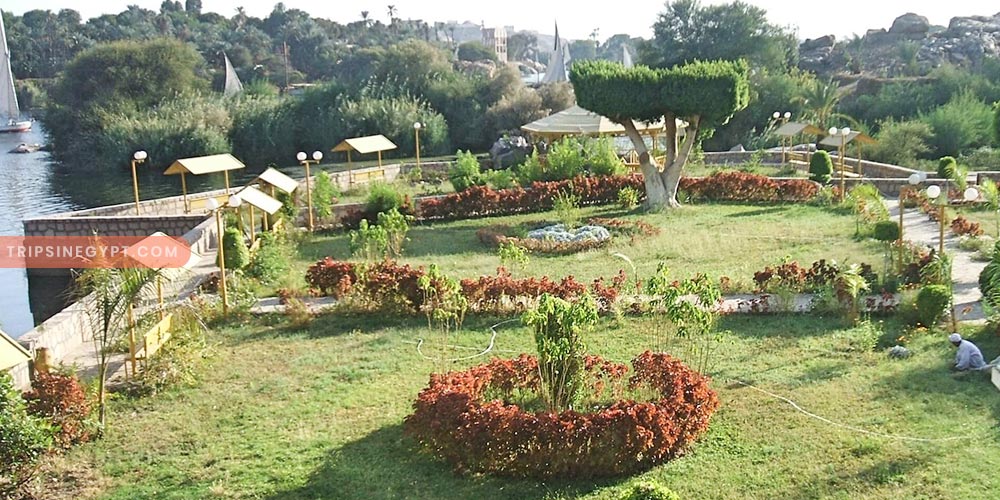 Botanical Island - Trips in Egypt (1)