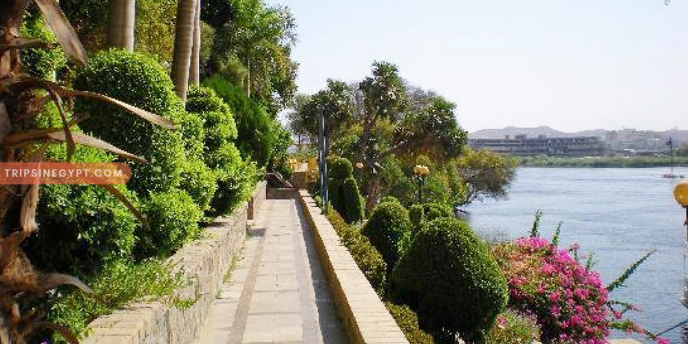 Botanical Island - Trips in Egypt (4)