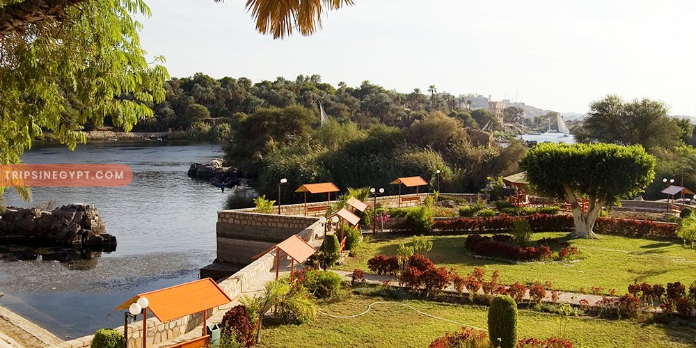 Botanical Island - Trips in Egypt (5)